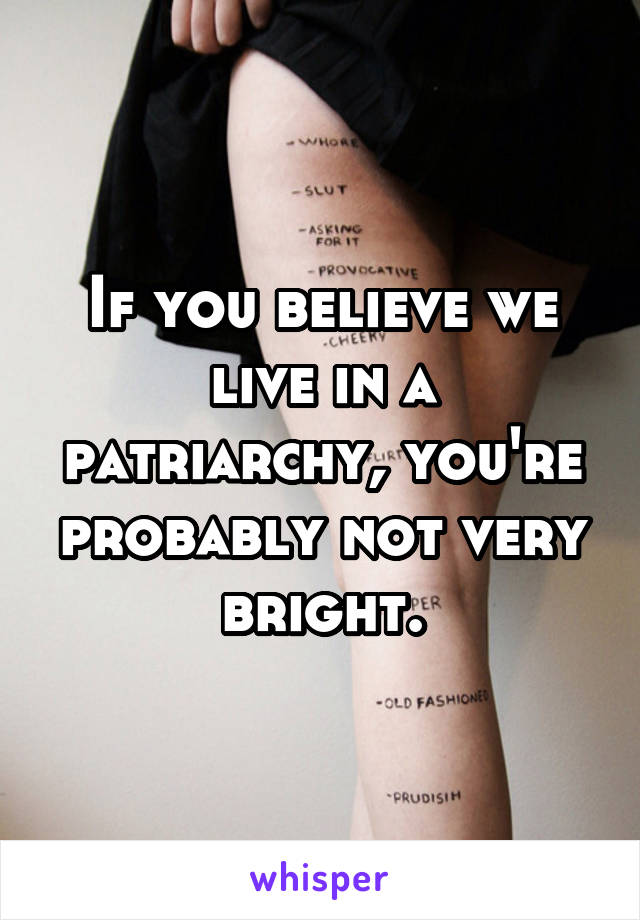 If you believe we live in a patriarchy, you're probably not very bright.