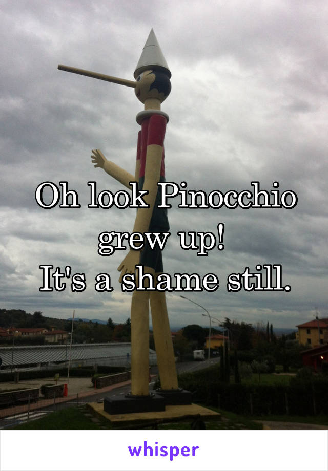 Oh look Pinocchio grew up! 
It's a shame still.