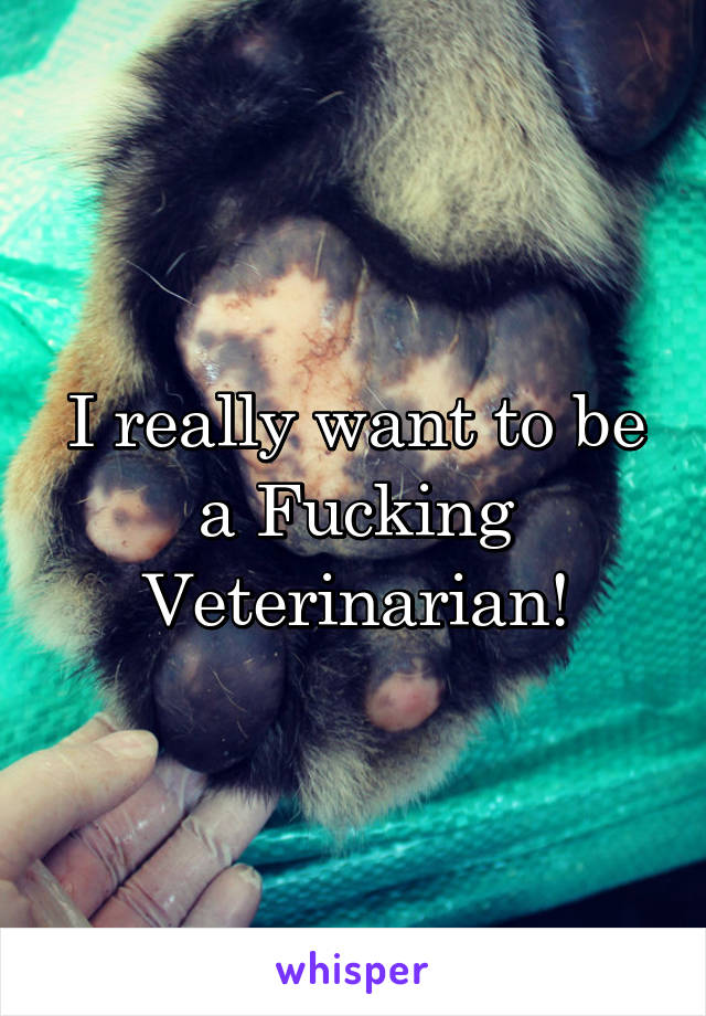 I really want to be a Fucking Veterinarian!