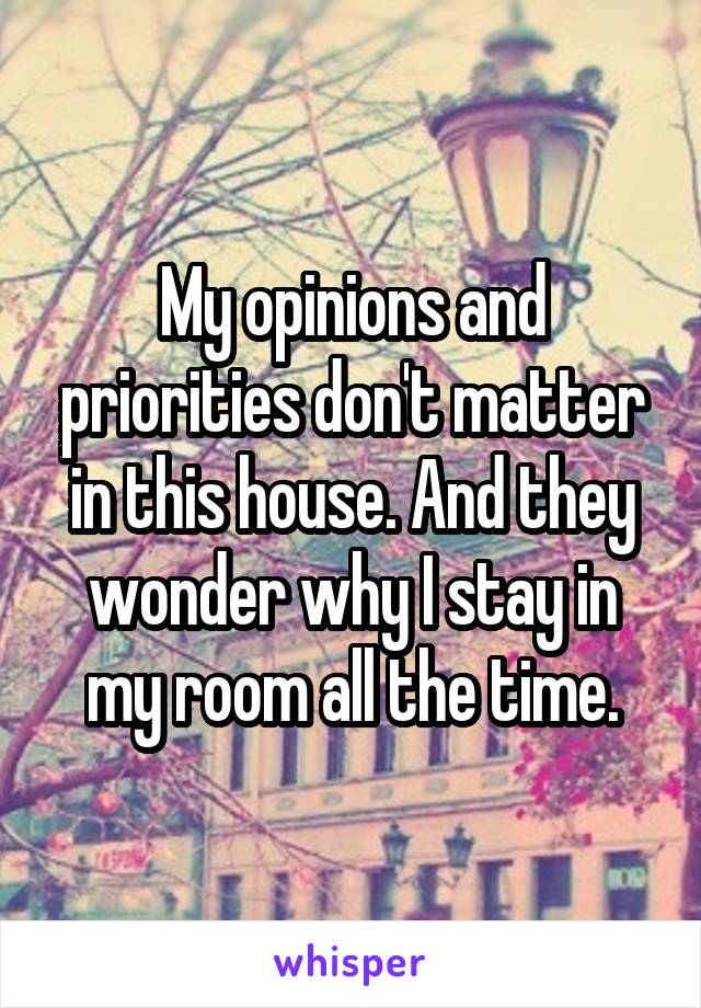 My opinions and priorities don't matter in this house. And they wonder why I stay in my room all the time.