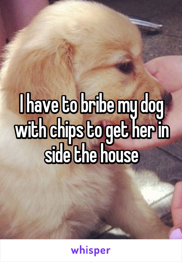 I have to bribe my dog with chips to get her in side the house