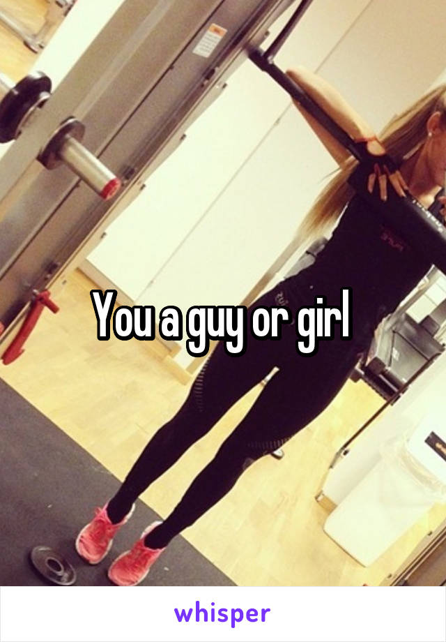 You a guy or girl 