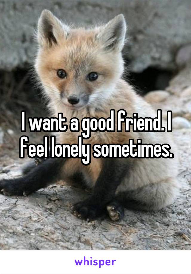 I want a good friend. I feel lonely sometimes.