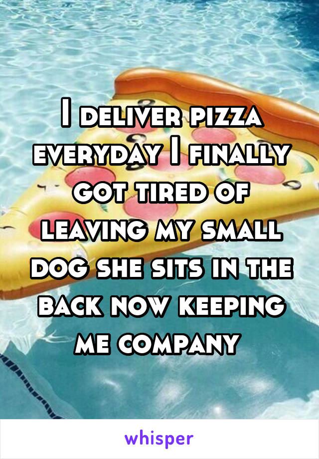 I deliver pizza everyday I finally got tired of leaving my small dog she sits in the back now keeping me company 