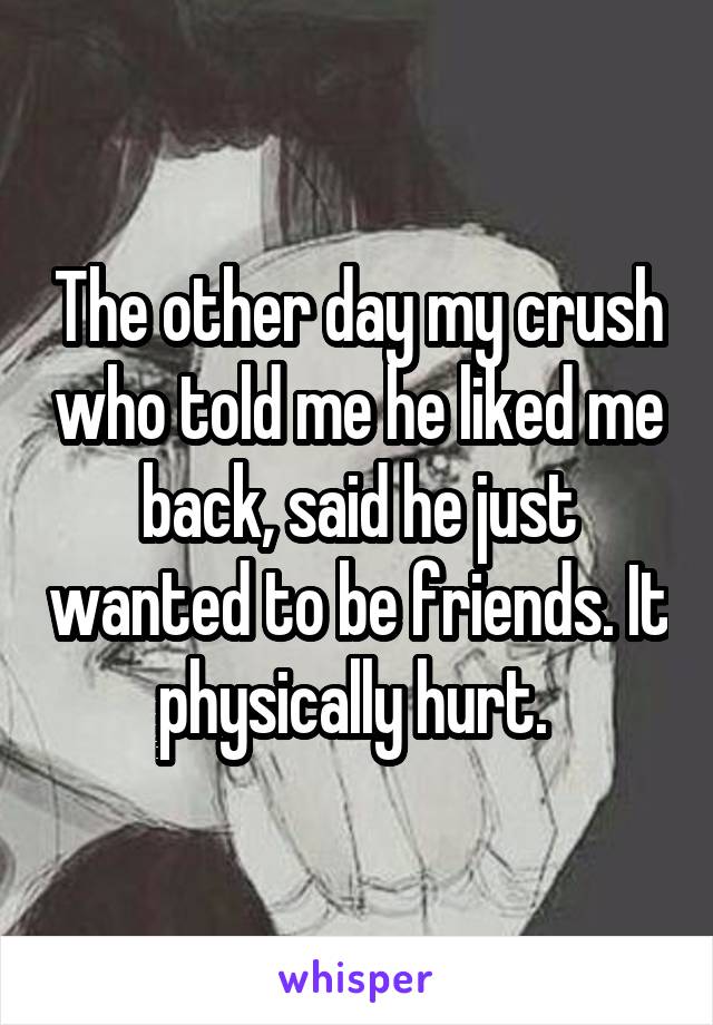 The other day my crush who told me he liked me back, said he just wanted to be friends. It physically hurt. 