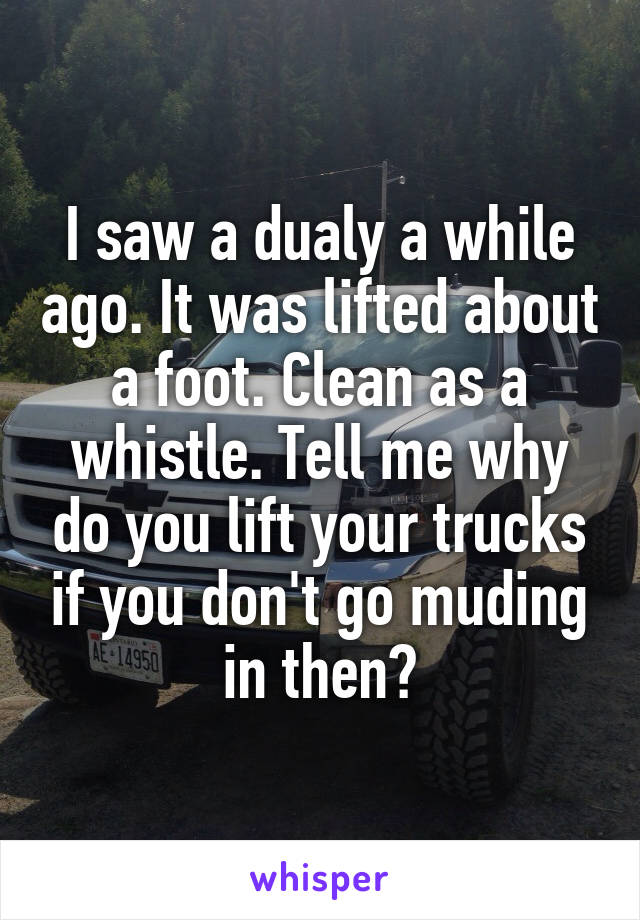 I saw a dualy a while ago. It was lifted about a foot. Clean as a whistle. Tell me why do you lift your trucks if you don't go muding in then?