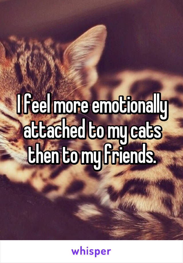 I feel more emotionally attached to my cats then to my friends.