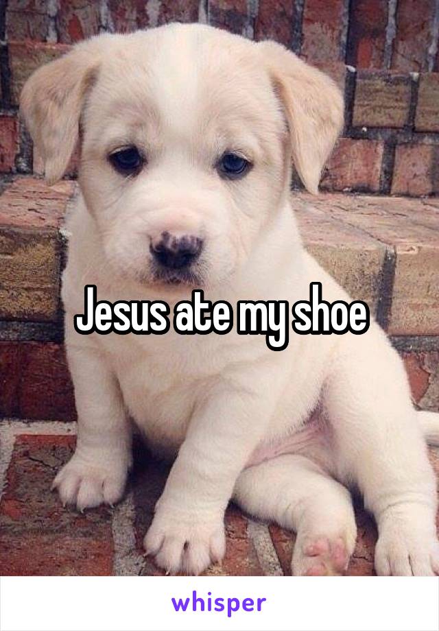 Jesus ate my shoe