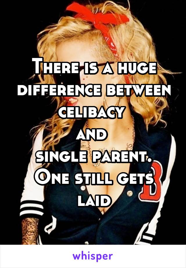 There is a huge difference between celibacy 
and 
single parent.
One still gets laid