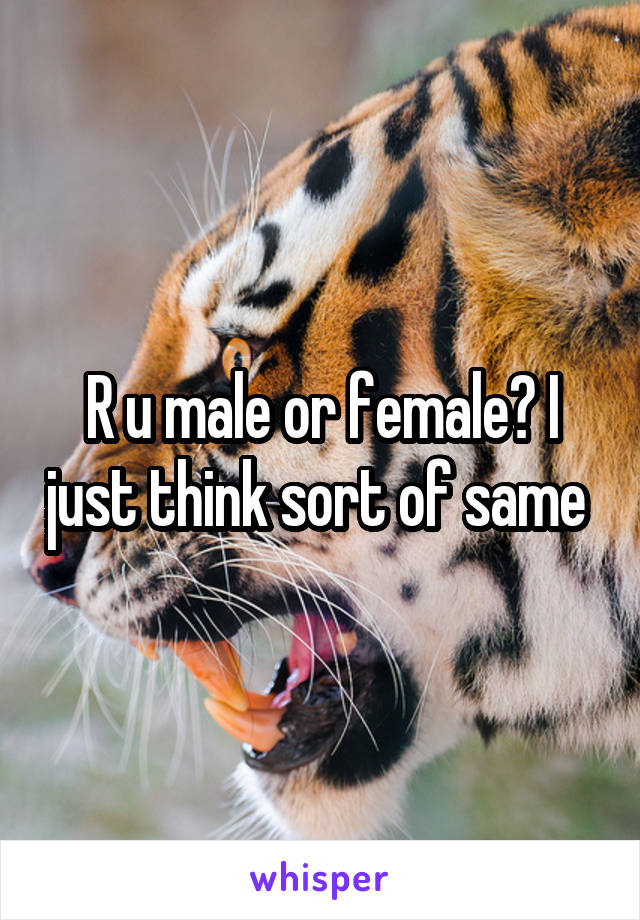 R u male or female? I just think sort of same 