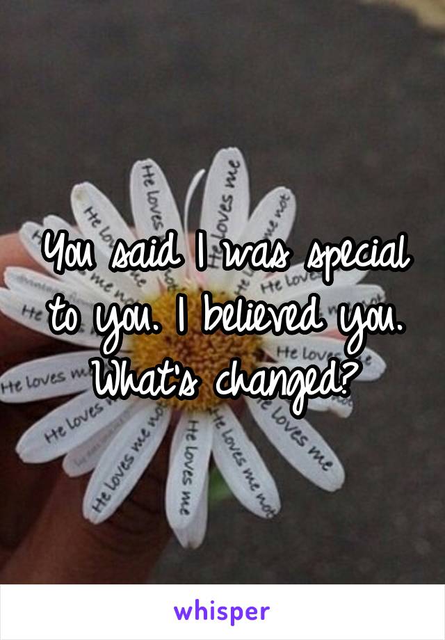 You said I was special to you. I believed you. What's changed?