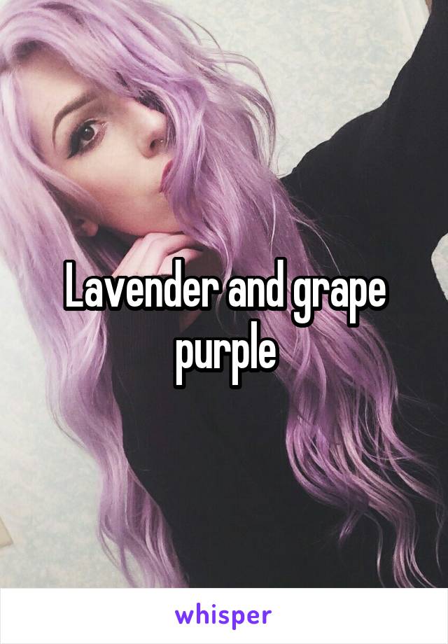 Lavender and grape purple