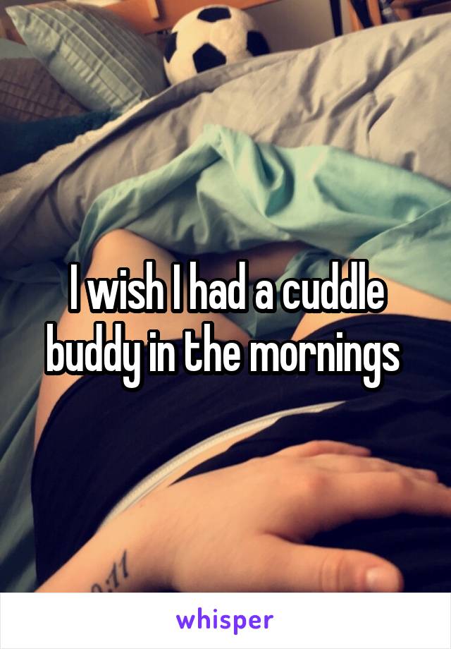 I wish I had a cuddle buddy in the mornings 