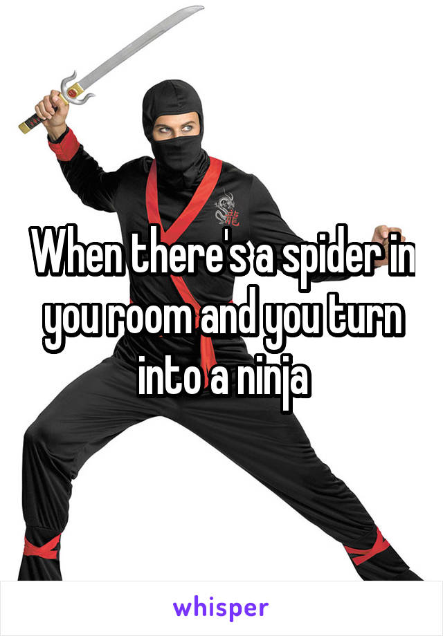 When there's a spider in you room and you turn into a ninja