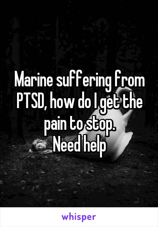 Marine suffering from PTSD, how do I get the pain to stop.
Need help