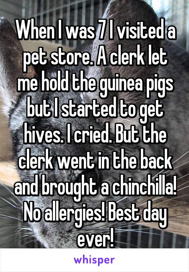 When I was 7 I visited a pet store. A clerk let me hold the guinea pigs but I started to get hives. I cried. But the clerk went in the back and brought a chinchilla! No allergies! Best day ever!