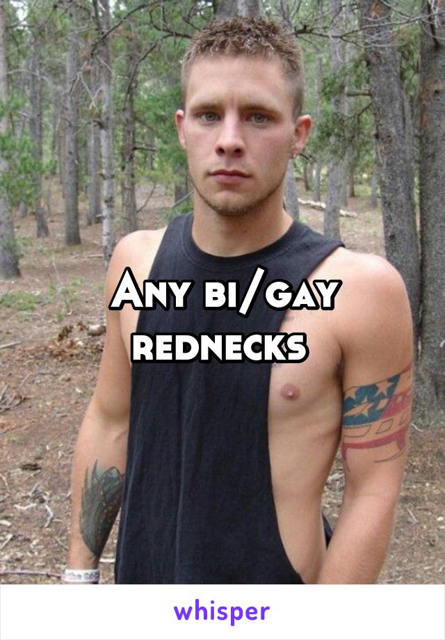 Any bi/gay rednecks 