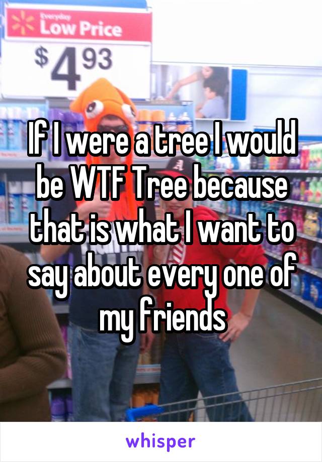 If I were a tree I would be WTF Tree because that is what I want to say about every one of my friends