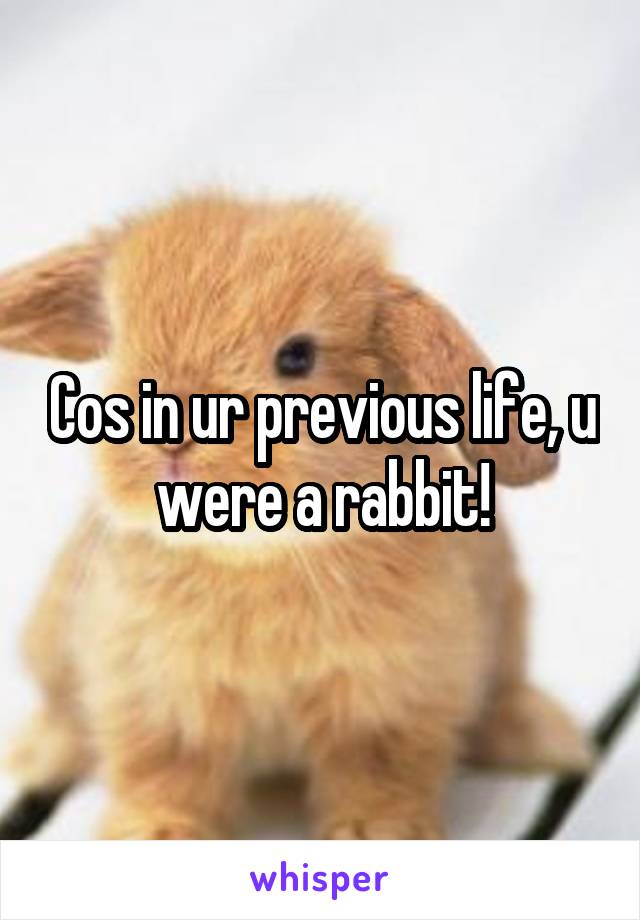 Cos in ur previous life, u were a rabbit!