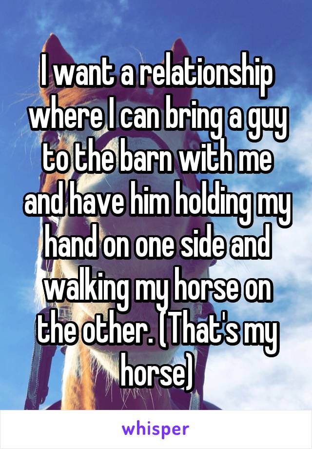 I want a relationship where I can bring a guy to the barn with me and have him holding my hand on one side and walking my horse on the other. (That's my horse)