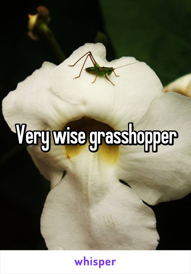 Very wise grasshopper