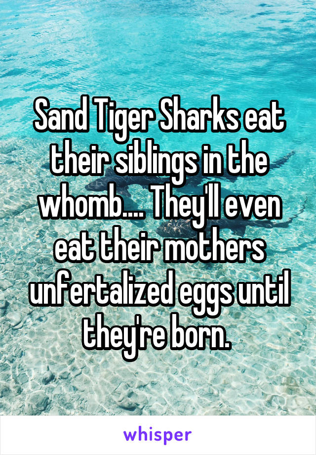 Sand Tiger Sharks eat their siblings in the whomb.... They'll even eat their mothers unfertalized eggs until they're born. 