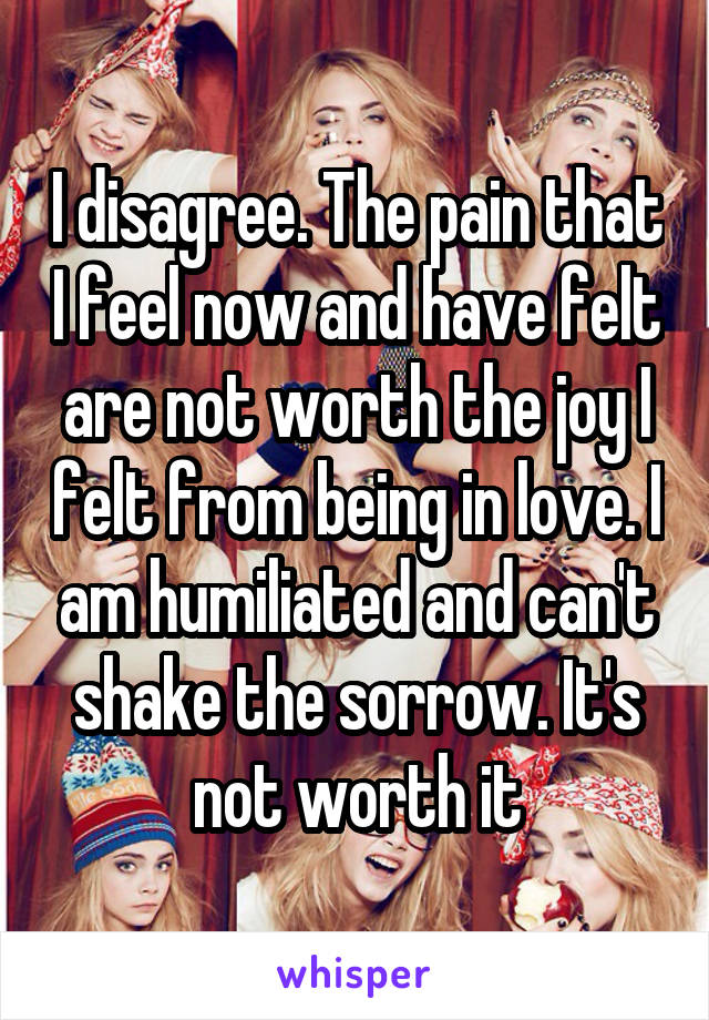 I disagree. The pain that I feel now and have felt are not worth the joy I felt from being in love. I am humiliated and can't shake the sorrow. It's not worth it