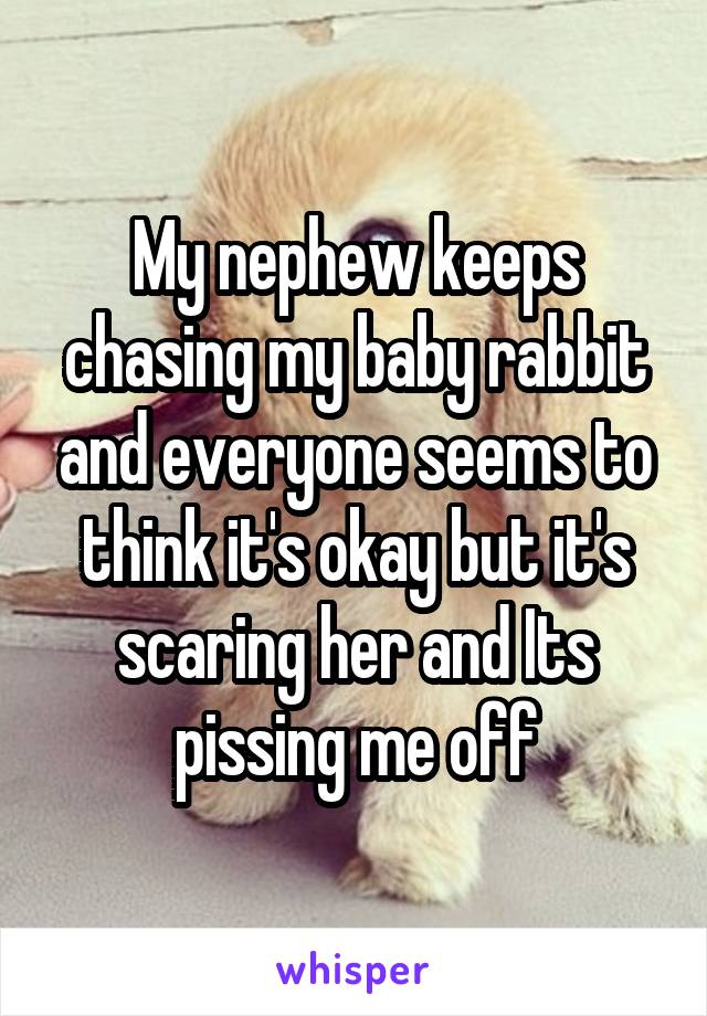 My nephew keeps chasing my baby rabbit and everyone seems to think it's okay but it's scaring her and Its pissing me off