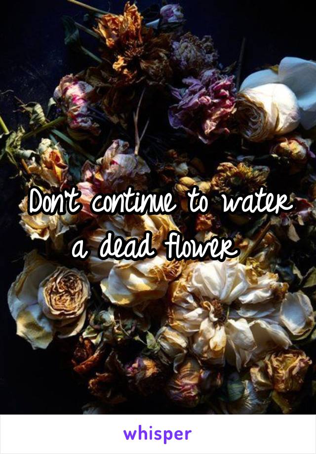 Don't continue to water a dead flower 