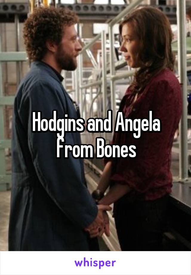 Hodgins and Angela from Bones