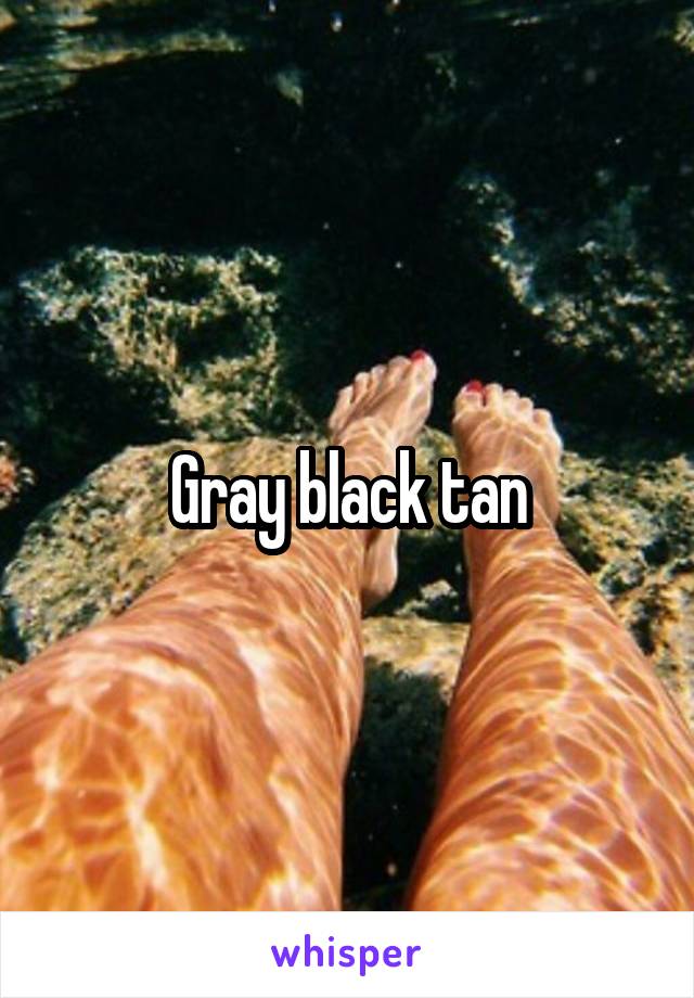 Gray black tan