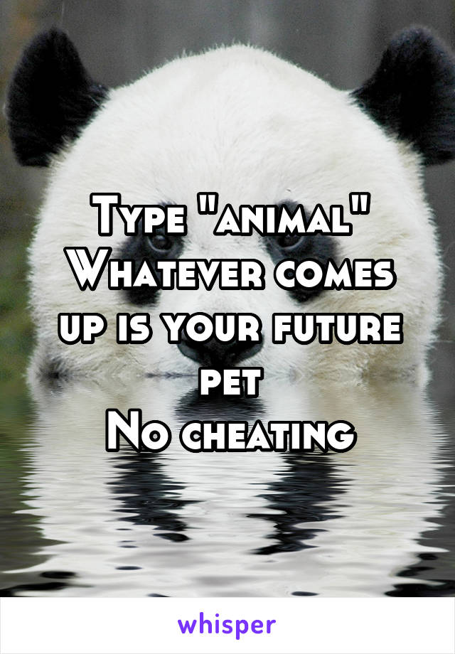 Type "animal"
Whatever comes up is your future pet
No cheating