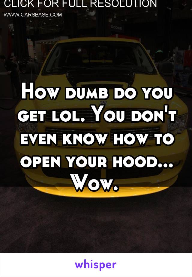 How dumb do you get lol. You don't even know how to open your hood... Wow. 