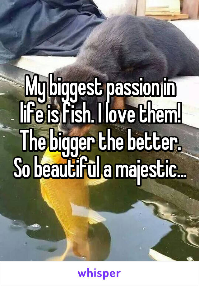 My biggest passion in life is fish. I love them! The bigger the better. So beautiful a majestic... 