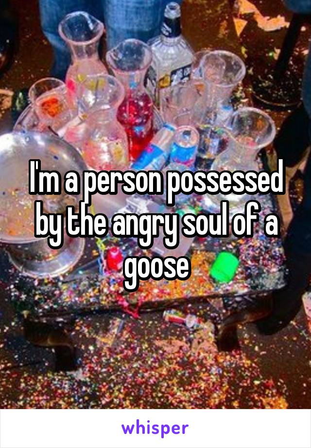 I'm a person possessed by the angry soul of a goose