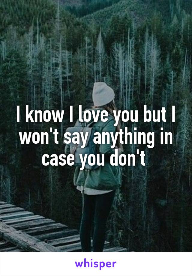 I know I love you but I won't say anything in case you don't 