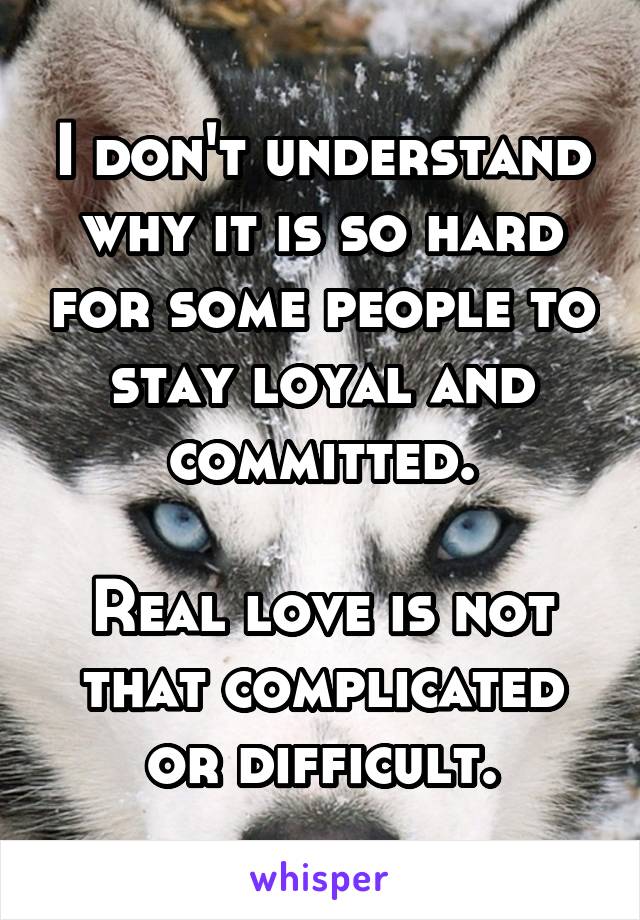 I don't understand why it is so hard for some people to stay loyal and committed.

Real love is not that complicated or difficult.