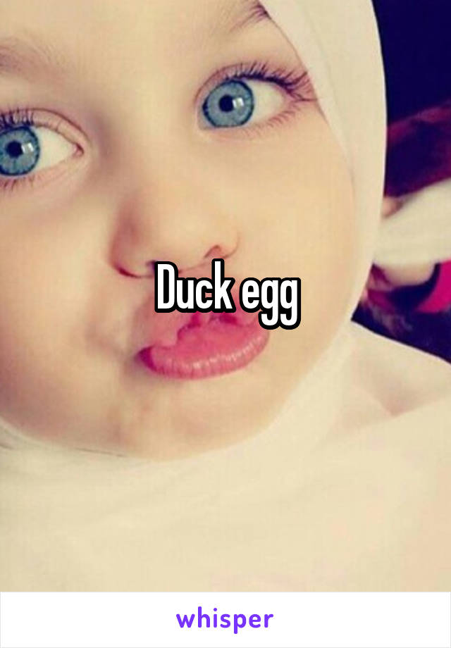 Duck egg
