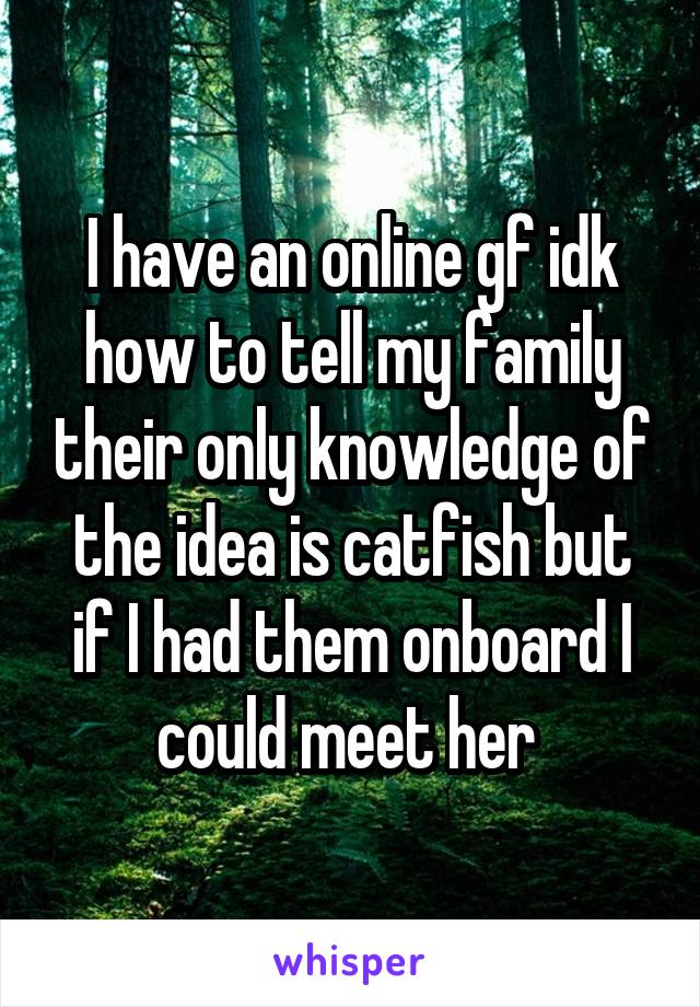 I have an online gf idk how to tell my family their only knowledge of the idea is catfish but if I had them onboard I could meet her 