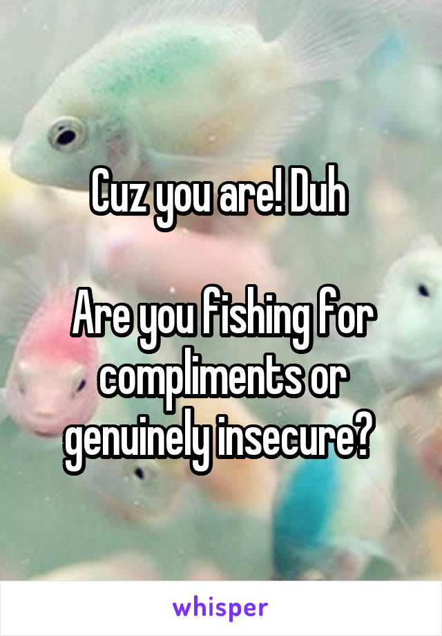 Cuz you are! Duh 

Are you fishing for compliments or genuinely insecure? 