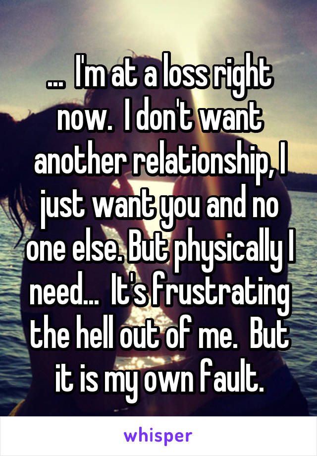 ...  I'm at a loss right now.  I don't want another relationship, I just want you and no one else. But physically I need...  It's frustrating the hell out of me.  But it is my own fault.