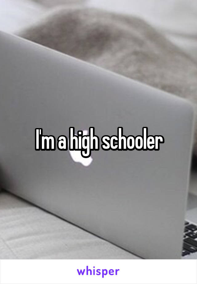 I'm a high schooler
