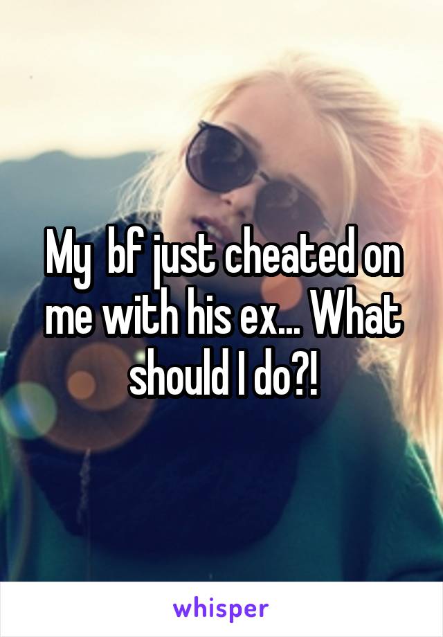 My  bf just cheated on me with his ex... What should I do?!