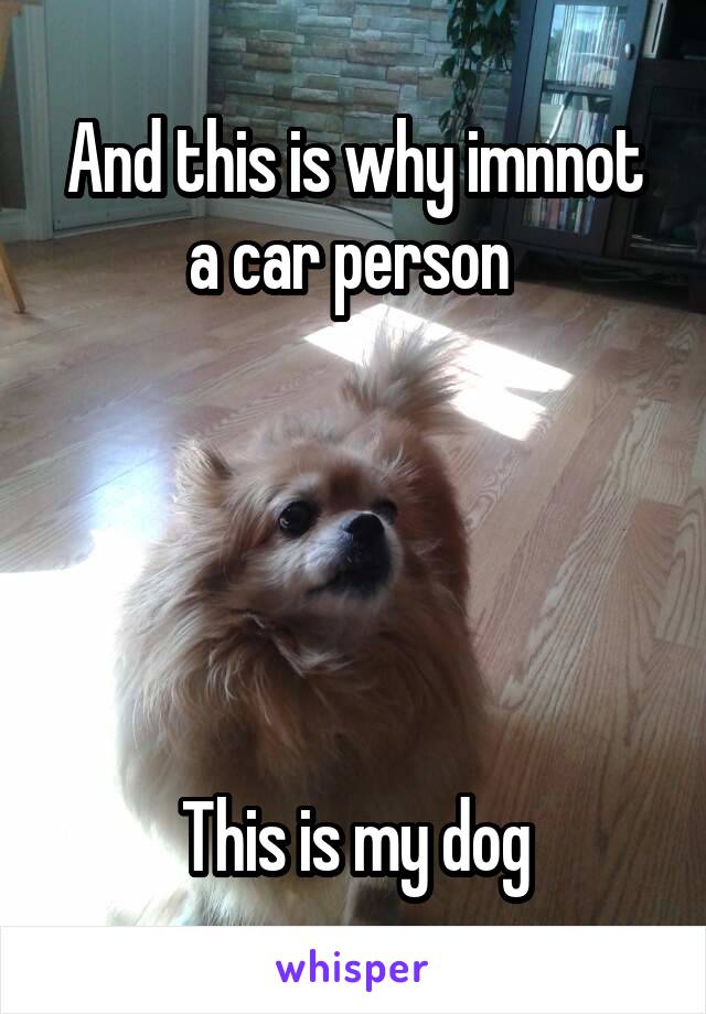 And this is why imnnot a car person 





This is my dog