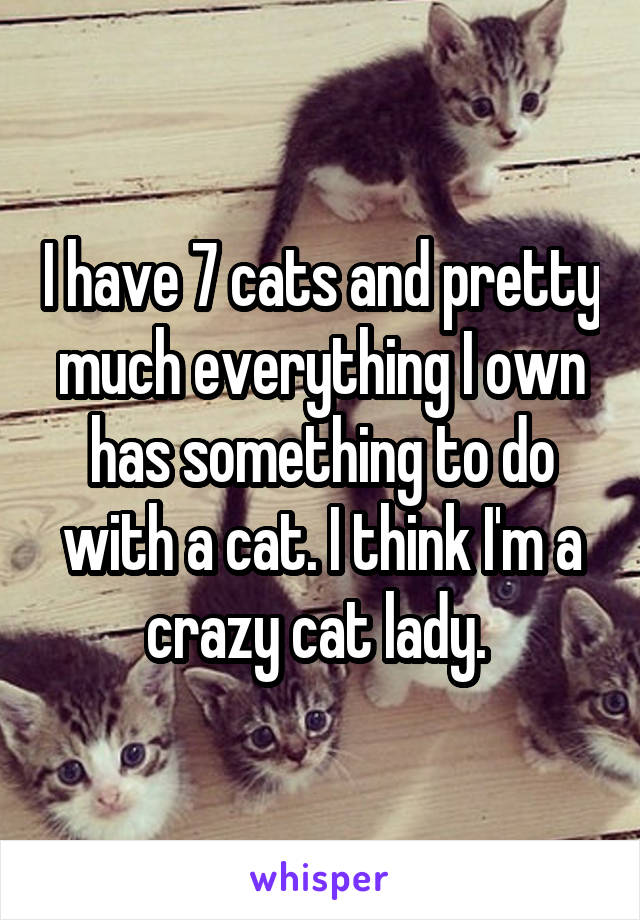 I have 7 cats and pretty much everything I own has something to do with a cat. I think I'm a crazy cat lady. 