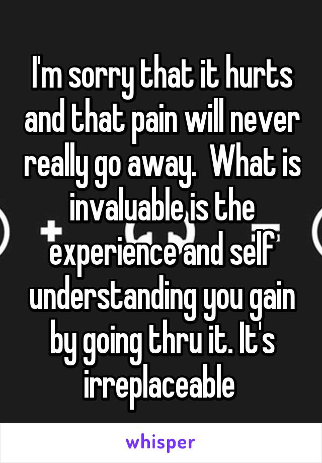 I'm sorry that it hurts and that pain will never really go away.  What is invaluable is the experience and self understanding you gain by going thru it. It's irreplaceable 