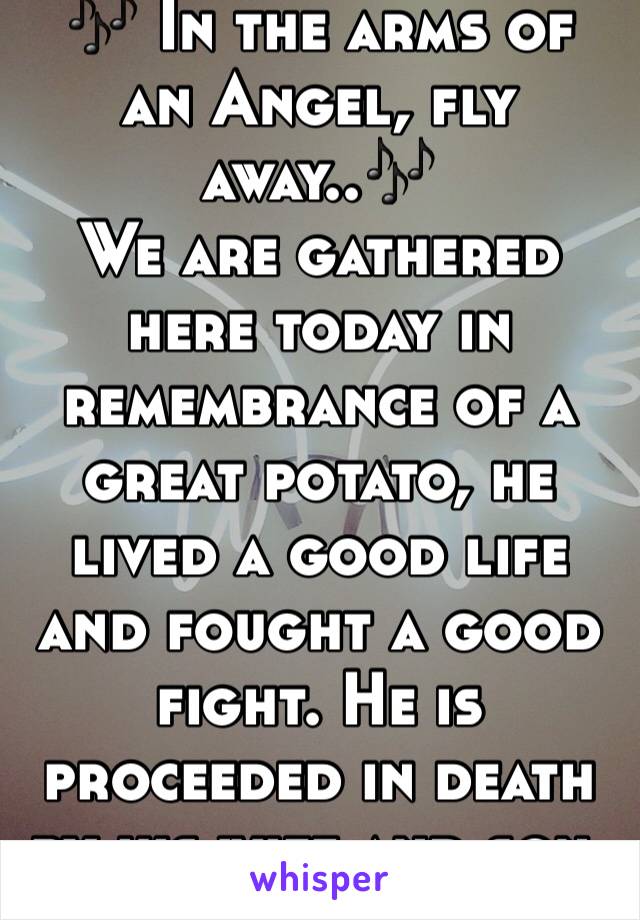 🎶 In the arms of an Angel, fly away..🎶
We are gathered here today in remembrance of a great potato, he lived a good life and fought a good fight. He is proceeded in death by his wife and son. RIP⚰🍟