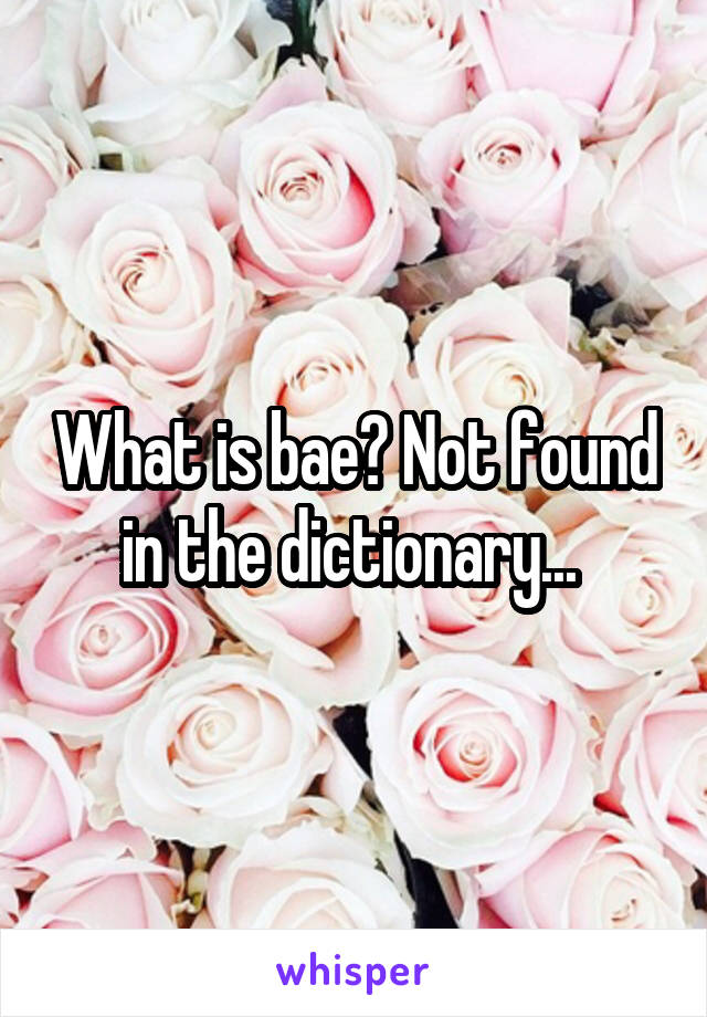 What is bae? Not found in the dictionary... 