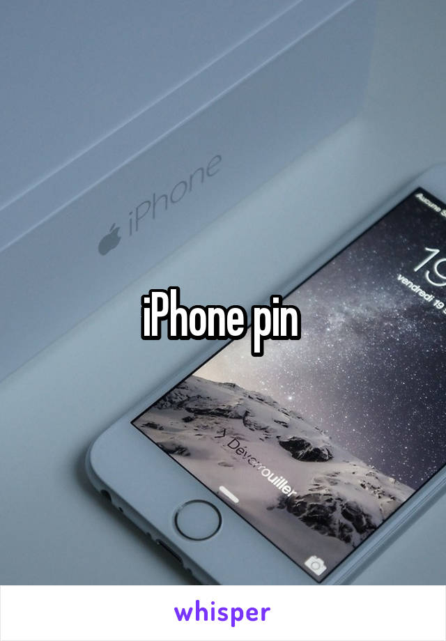 iPhone pin 