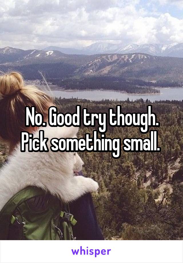 No. Good try though. Pick something small. 